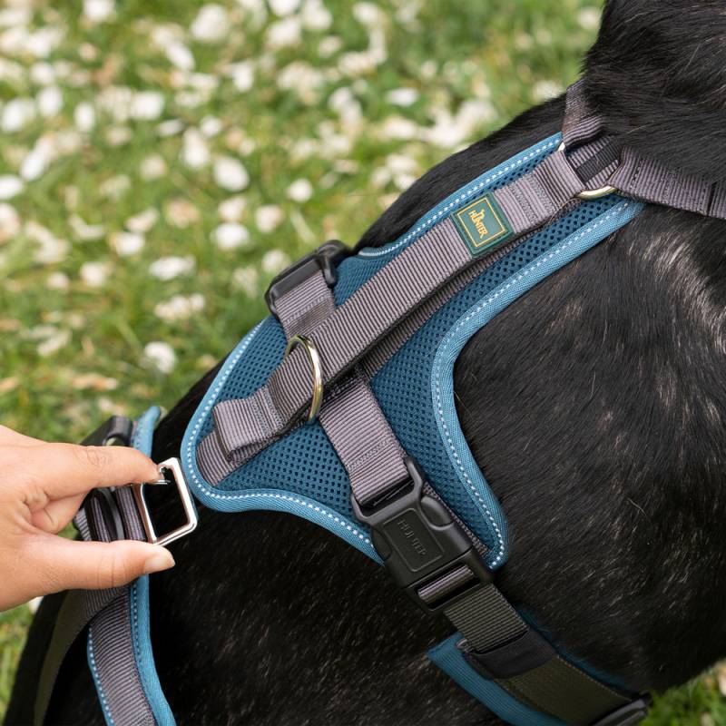 HUNTER Hunde Sicherheitsgeschirr Maldon petrol/grau, Gr. M-L, Breite: ca. 2,5 cm, Bauchumfang: ca. 60 - 91 cm, Halsweite: ca. 57 - 98 cm HUNTER Hunde Sicherheitsgeschirr Maldon petrol/grau, Gr. M-L, Breite: ca. 2,5 cm, Bauchumfang: ca. 60 - 91 cm, Halsweite: ca. 57 - 98 cm von Hunter