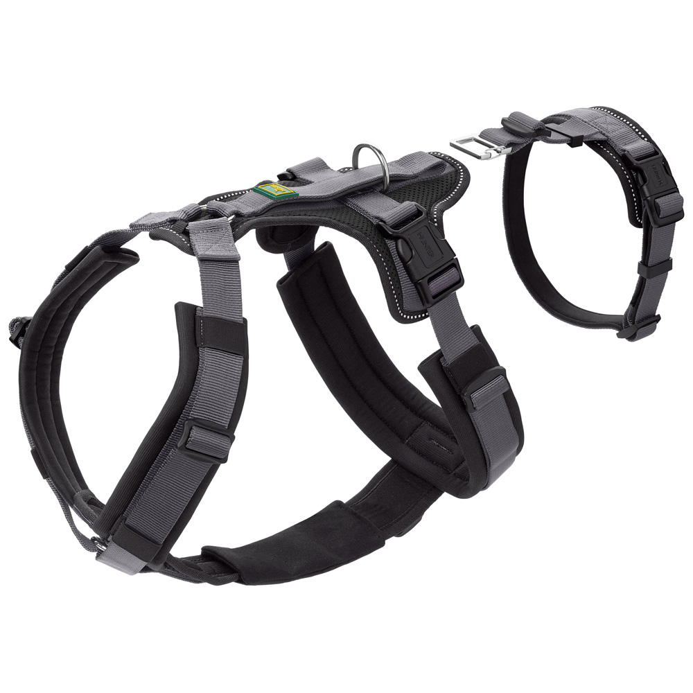 HUNTER Hunde Sicherheitsgeschirr Maldon schwarz/grau, Gr. M, Breite: ca. 2,5 cm, Bauchumfang: ca. 53 - 71 cm, Halsweite: ca. 50 - 84 cm HUNTER Hunde Sicherheitsgeschirr Maldon schwarz/grau, Gr. M, Breite: ca. 2,5 cm, Bauchumfang: ca. 53 - 71 cm, Halsweite: ca. 50 - 84 cm von Hunter