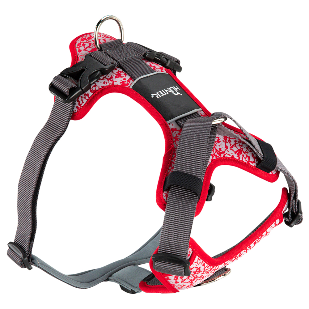 HUNTER Hundegeschirr Divo Reflect rot/grau, Gr. L-XL, Breite: ca. 2,5 cm, Bauchumfang: ca. 79 - 107 cm, Halsumfang: ca. 46 - 67 cm HUNTER Hundegeschirr Divo Reflect rot/grau, Gr. L-XL, Breite: ca. 2,5 cm, Bauchumfang: ca. 79 - 107 cm, Halsumfang: ca. 46 - 67 cm von Hunter