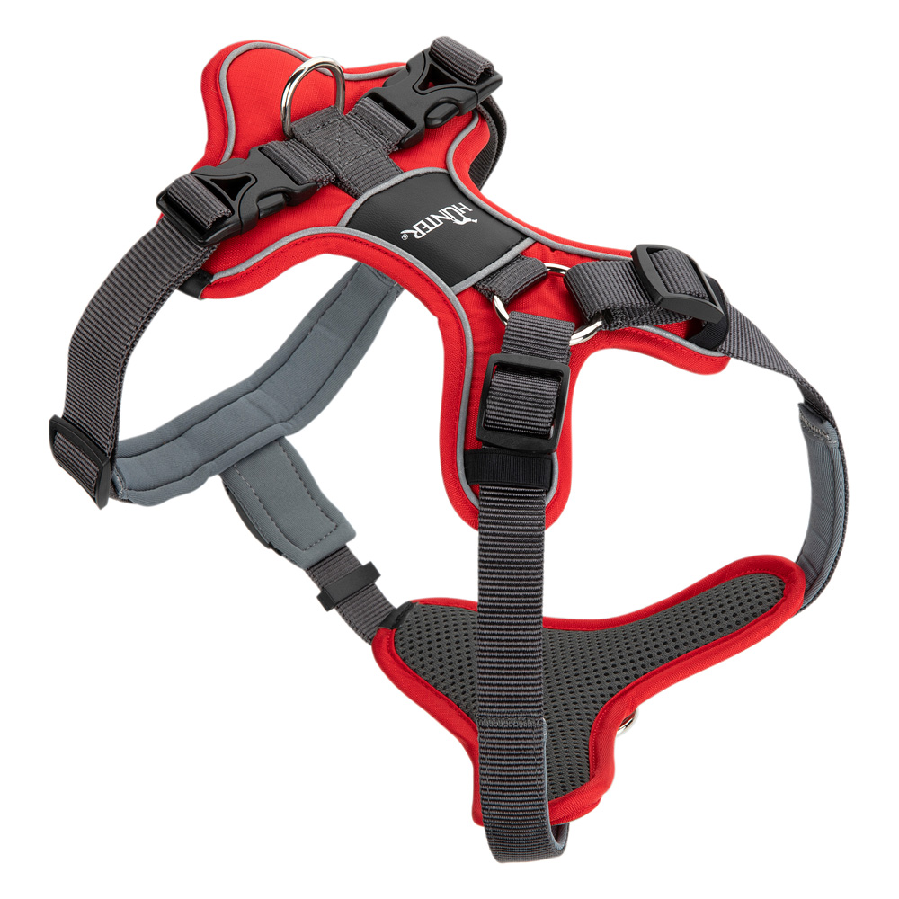 HUNTER Hundegeschirr Divo rot/grau, Gr. L-XL, Breite: ca. 2,5 cm, Bauchumfang: ca. 79 - 107 cm, Halsumfang: ca. 46 - 67 cm HUNTER Hundegeschirr Divo rot/grau, Gr. L-XL, Breite: ca. 2,5 cm, Bauchumfang: ca. 79 - 107 cm, Halsumfang: ca. 46 - 67 cm von Hunter