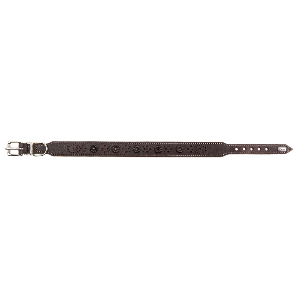 HUNTER Hundehalsband Virginia Rose tabak/beige, Gr. 60, Breite: ca. 3,9 cm, Länge: ca. 47 - 54 cm HUNTER Hundehalsband Virginia Rose tabak/beige, Gr. 60, Breite: ca. 3,9 cm, Länge: ca. 47 - 54 cm von Hunter