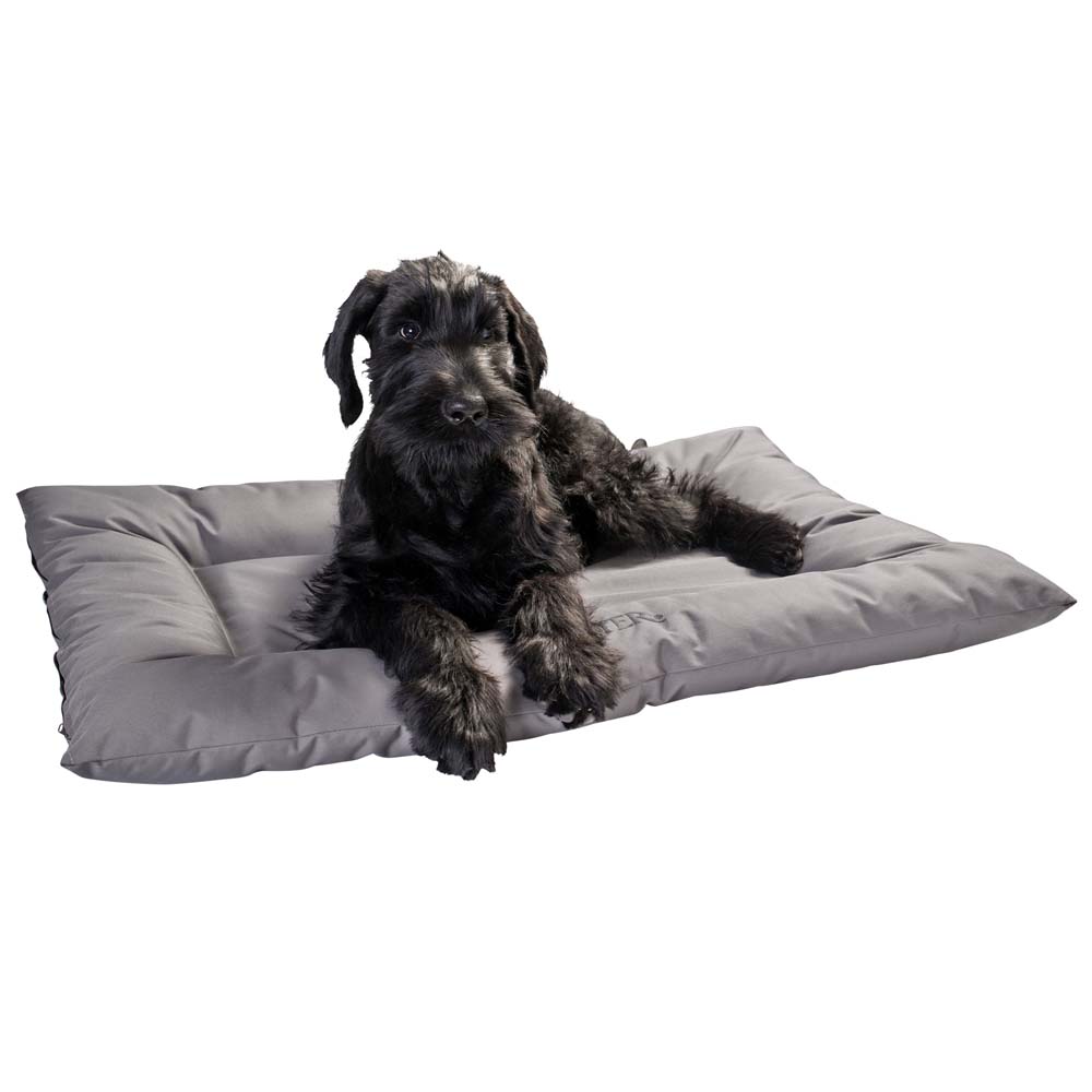 HUNTER Hundematte Gent grau, Gr. L, Maße: ca. 100 x 70 cm HUNTER Hundematte Gent grau, Gr. L, Maße: ca. 100 x 70 cm von Hunter