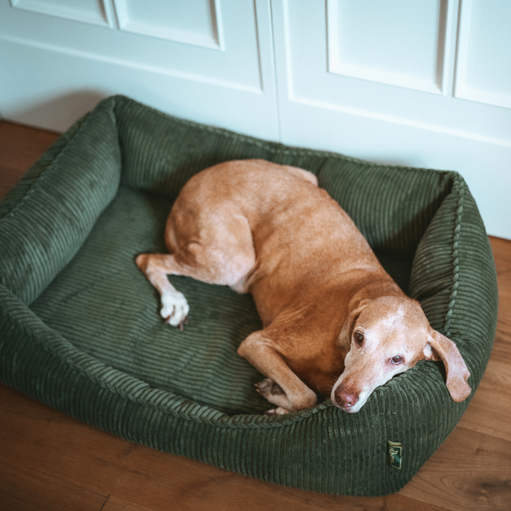 Hunter Ergonomisches Hundesofa Corbie - L 100 x B 70 cm, anthrazit von Hunter