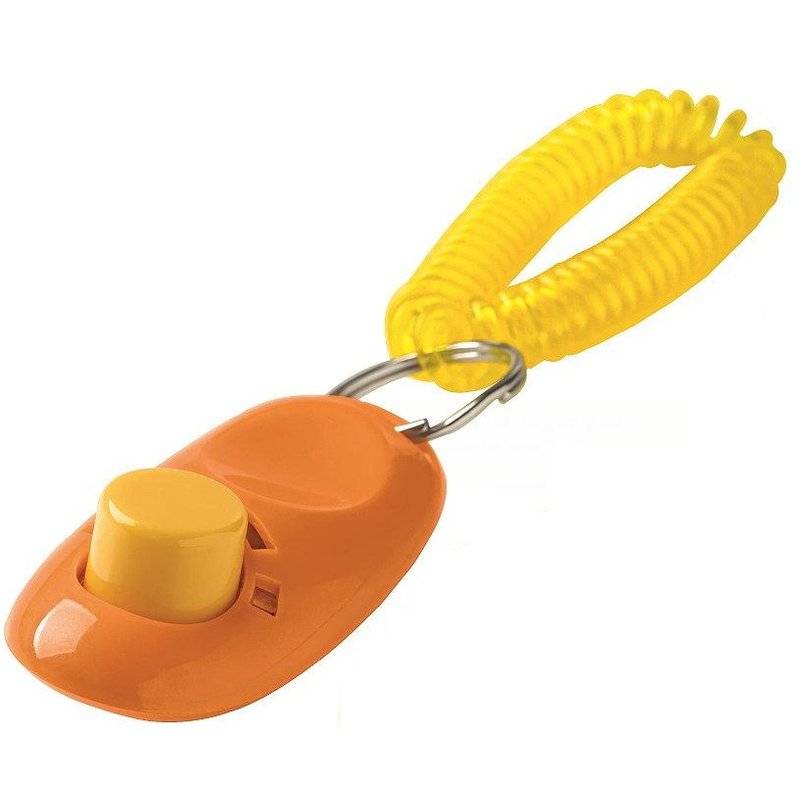 Hunter Erziehungshilfe Clicker mit Armband von Hunter