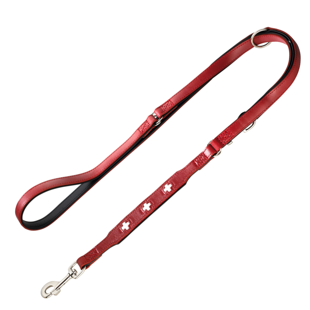 HUNTER Führleine Swiss, verstellbar - 200 cm lang, 18 mm breit HUNTER Führleine Swiss, verstellbar - 200 cm lang, 18 mm breit von Hunter