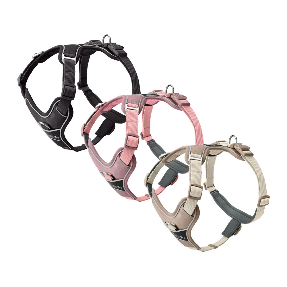 Hunter Geschirr Divo Up - Schwarz - M von Hunter