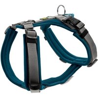 Hunter Geschirr Maldon Up petrol XS von Hunter