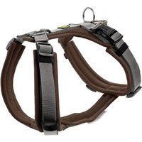 Hunter Geschirr Maldon Up braun XS Hunter Geschirr Maldon Up braun XS von Hunter