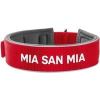 Hunter Halsband Neopren FC Bayern München 55 cm von Hunter