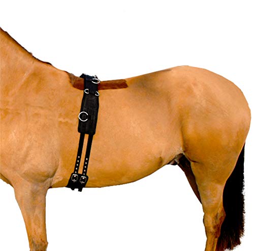 Hunters Saddlery Deluxe Longiergurt aus gepolstertem Nylon für Pferde – Größe Vollblut (Cob) von Hunters Saddlery