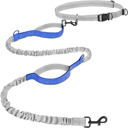 Hurluksi Handfreie Taillenleine, Laufgürtelleine mit einziehbarem Gummizug und Schwammgriff, Blau Hurluksi Handfreie Taillenleine, Laufgürtelleine mit einziehbarem Gummizug und Schwammgriff, Blau von HurLuksi