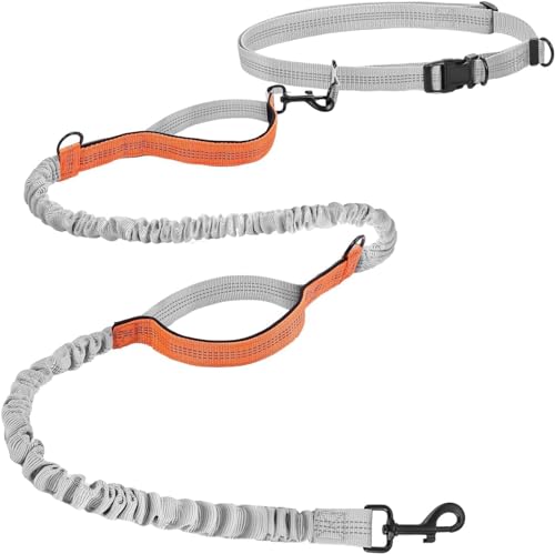 Hurluksi Hundeleine, freihändig, zum Laufen, robust, mit einziehbarem Gummizug und Schwammgriff, Orange Hurluksi Hundeleine, freihändig, zum Laufen, robust, mit einziehbarem Gummizug und Schwammgriff, Orange von HurLuksi