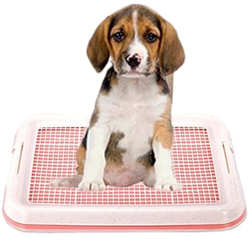 Waschbare Pee-Pads, Hundekuhlett, zweischichtraster Hundepee-Pads, Wiederverwendbare Waschpee- mit Seitenverschluss, robuster PP-Hundetoilette innen mit Nicht rutschem Boden Waschbare Pee-Pads, Hundekuhlett, zweischichtraster Hundepee-Pads, Wiederverwendbare Waschpee- mit Seitenverschluss, robuster PP-Hundetoilette innen mit Nicht rutschem Boden von Huraoerrrr