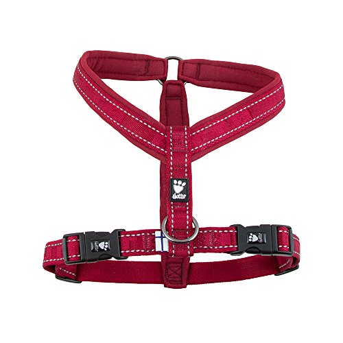 Hurtta Gepolstertes Hund-Geschirr, Y-Form Hurtta Gepolstertes Hund-Geschirr, Y-Form von Hurtta