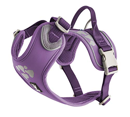 Hurtta Weekend Warrior Geschirr Johannisbeere 40-45 cm, 110 g von Hurtta