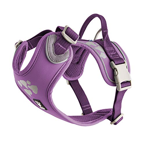 Hurtta Weekend Warrior Hundegeschirr, 46-61 cm, Johannisbeere Hurtta Weekend Warrior Hundegeschirr, 46-61 cm, Johannisbeere von Hurtta