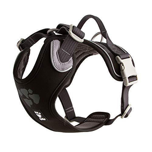 Hurtta Weekend Warrior Hundegeschirr, Brust Geschirr für kleine Hunde, Schwarz 40-45 cm Hurtta Weekend Warrior Hundegeschirr, Brust Geschirr für kleine Hunde, Schwarz 40-45 cm von Hurtta