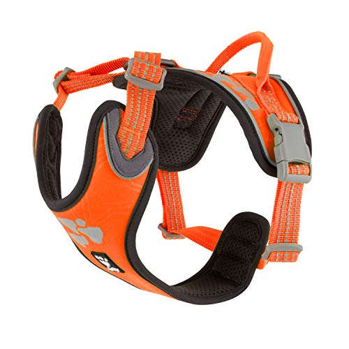 Hurtta Weekend Warrior Hundegeschirr für Hunde, Orange 40-45 cm von Hurtta