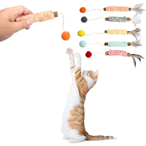 Husalsea 5 Katzenminze Stick Für Katzen Zahnpflege, Katzensticks mit Natürlichen Materialien, Catnip Kaustab, Katzenminze Spielzeug Beißstab, Katzenspielzeug für Die Mundgesundheit von Katzen Husalsea 5 Katzenminze Stick Für Katzen Zahnpflege, Katzensticks mit Natürlichen Materialien, Catnip Kaustab, Katzenminze Spielzeug Beißstab, Katzenspielzeug für Die Mundgesundheit von Katzen von Husalsea