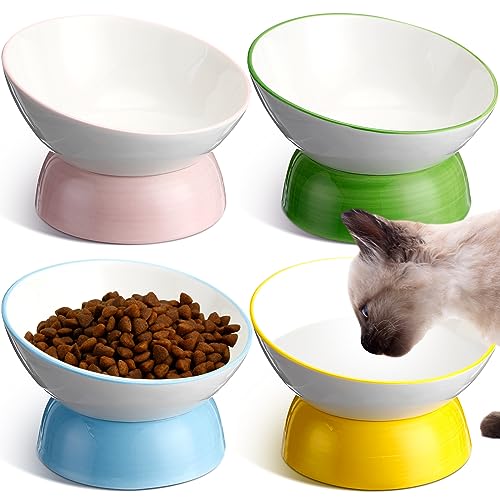 Hushee 4 Stück Keramik-Futternäpfe für Katzen, erhöht, geneigt, gegen Erbrechen, Futter oder Wasser, buntes Porzellan, Haustiernapf für Katzen, Kätzchen, kleine Hunde, schützt Kätzchen-Stacheln von Hushee