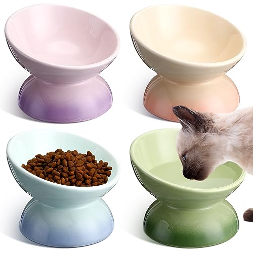 Hushee 4 x Keramik-Futternäpfe für Katzen, erhöht, geneigt, gegen Erbrechen, Futter oder Wasser, buntes Porzellan, Haustiernapf für Katzen, Kätzchen, kleine Hunde, schützt Kätzchen-Stacheln von Hushee