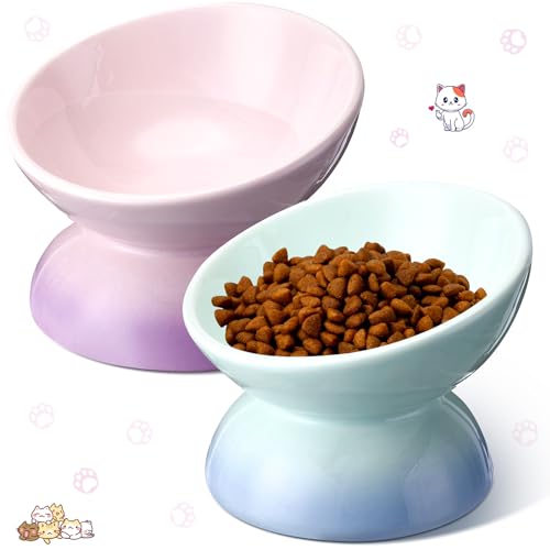 Hushee Erhöhter Futternapf für Katzen, Keramik, 15 Grad, erhöht, 118 ml, abgeschrägt, geneigt, Anti-Erbrechen, für Kätzchen, kleine Hunde, Haustiere, spülmaschinenfest, mikrowellengeeignet, Violett Hushee Erhöhter Futternapf für Katzen, Keramik, 15 Grad, erhöht, 118 ml, abgeschrägt, geneigt, Anti-Erbrechen, für Kätzchen, kleine Hunde, Haustiere, spülmaschinenfest, mikrowellengeeignet, Violett von Hushee