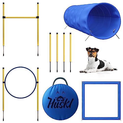 Huskl Agility Set Hunde Klein und Groß aus Tunnel für Hunde, Agility Stangen, Hürdenstange, Agility Ring & Pausenbox für Hunde Beschäftigung - Hundetraining Zubehör Huskl Agility Set Hunde Klein und Groß aus Tunnel für Hunde, Agility Stangen, Hürdenstange, Agility Ring & Pausenbox für Hunde Beschäftigung - Hundetraining Zubehör von Huskl