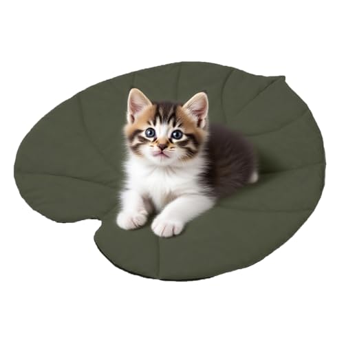 Husoiuy Haustier Wassermatte,Blattform Kühlmatte Für Katzen | Zweiseitig Isolierte Katzenmatte Für Wohnung Balkon Auto Camping Reise Zuhause Husoiuy Haustier Wassermatte,Blattform Kühlmatte Für Katzen | Zweiseitig Isolierte Katzenmatte Für Wohnung Balkon Auto Camping Reise Zuhause von Husoiuy