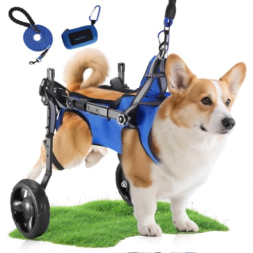 Kleine Hunderäder für Hinterbeine, Hunderollstuhlwagen verstellbar mit All-Terrain-Reifen/Traktionsseil/reflektierendem Geschirr/Toilettentasche, Haustier-Gehhilfe, Rollstuhl für kleine bis Kleine Hunderäder für Hinterbeine, Hunderollstuhlwagen verstellbar mit All-Terrain-Reifen/Traktionsseil/reflektierendem Geschirr/Toilettentasche, Haustier-Gehhilfe, Rollstuhl für kleine bis von HuuppHip