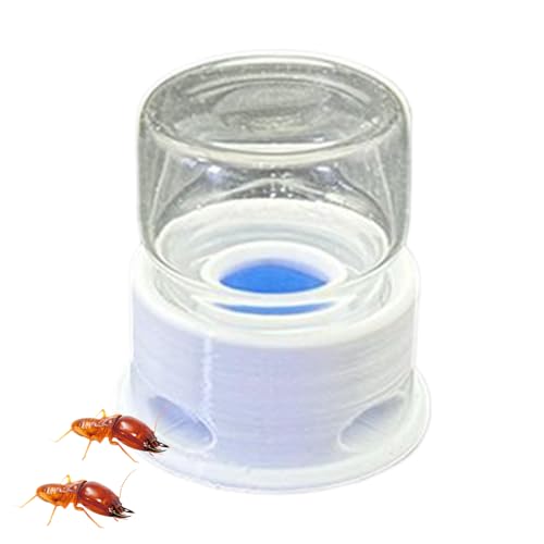 Ant Feeding Bowl, Water Station, 1.42x1.5 Inches Size Compact Transparent Feeder with 12ml Capacity, Anti-Drowning Feeder for Home Classroom Farm Outdoors, Hobbyists, Clear Ant Feeding Bowl, Water Station, 1.42x1.5 Inches Size Compact Transparent Feeder with 12ml Capacity, Anti-Drowning Feeder for Home Classroom Farm Outdoors, Hobbyists, Clear von Huvqianu