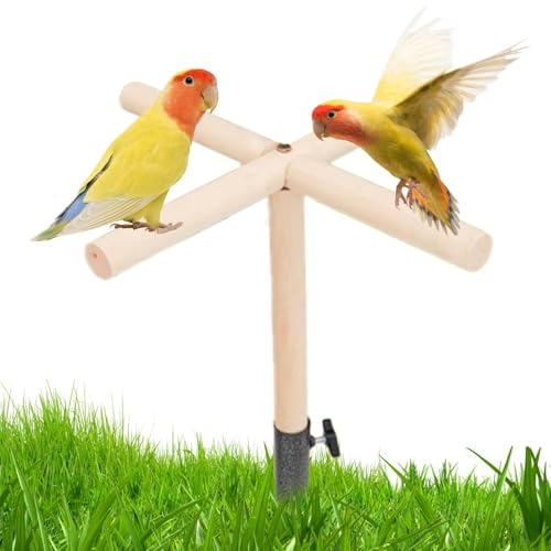 Hühner-Sitzstange, Vogel-Wurstständer, 40 x 20 x 5 cm, stabiles Naturholz, einfache Installation, Geflügel-Roosting-Stick für Ställe, Käfige, Volieren Hühner-Sitzstange, Vogel-Wurstständer, 40 x 20 x 5 cm, stabiles Naturholz, einfache Installation, Geflügel-Roosting-Stick für Ställe, Käfige, Volieren von Huvqianu
