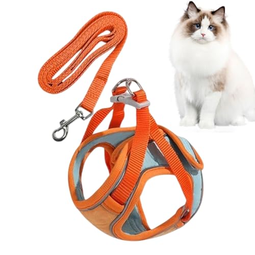 Hundegeschirr Verstellbar, Hundegeschirr Kleine Hunde mit Leine, Weich Hundegeschirr für Kleine Hunde Kleine Rassen Hundegeschirr Bequemes Geschirr für Welpen, Hundegeschirr für Kleine Hunde, No Pull Hundegeschirr Verstellbar, Hundegeschirr Kleine Hunde mit Leine, Weich Hundegeschirr für Kleine Hunde Kleine Rassen Hundegeschirr Bequemes Geschirr für Welpen, Hundegeschirr für Kleine Hunde, No Pull von Huvqianu