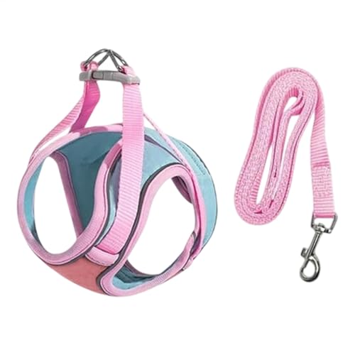 Hundegeschirr Verstellbar, Hundegeschirr Kleine Hunde mit Leine, Weich Hundegeschirr für Kleine Hunde Kleine Rassen Hundegeschirr Bequemes Geschirr für Welpen, Hundegeschirr für Kleine Hunde, No Pull Hundegeschirr Verstellbar, Hundegeschirr Kleine Hunde mit Leine, Weich Hundegeschirr für Kleine Hunde Kleine Rassen Hundegeschirr Bequemes Geschirr für Welpen, Hundegeschirr für Kleine Hunde, No Pull von Huvqianu