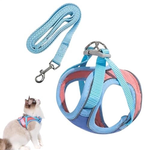 Hundegeschirr Verstellbar, Hundegeschirr Kleine Hunde mit Leine, Weich Hundegeschirr für Kleine Hunde Kleine Rassen Hundegeschirr Bequemes Geschirr für Welpen, Hundegeschirr für Kleine Hunde, No Pull Hundegeschirr Verstellbar, Hundegeschirr Kleine Hunde mit Leine, Weich Hundegeschirr für Kleine Hunde Kleine Rassen Hundegeschirr Bequemes Geschirr für Welpen, Hundegeschirr für Kleine Hunde, No Pull von Huvqianu