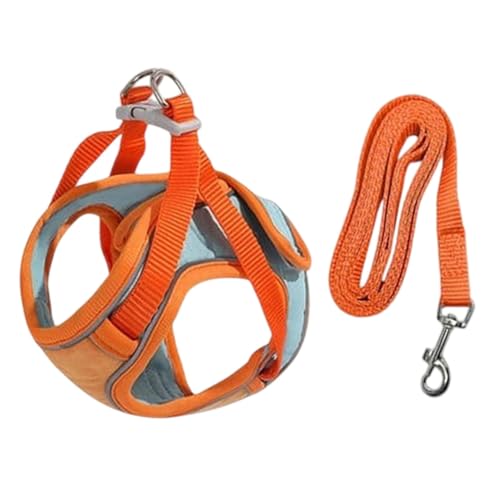 Hundegeschirr Verstellbar, Hundegeschirr Kleine Hunde mit Leine, Weich Hundegeschirr für Kleine Hunde Kleine Rassen Hundegeschirr Bequemes Geschirr für Welpen, Hundegeschirr für Kleine Hunde, No Pull Hundegeschirr Verstellbar, Hundegeschirr Kleine Hunde mit Leine, Weich Hundegeschirr für Kleine Hunde Kleine Rassen Hundegeschirr Bequemes Geschirr für Welpen, Hundegeschirr für Kleine Hunde, No Pull von Huvqianu