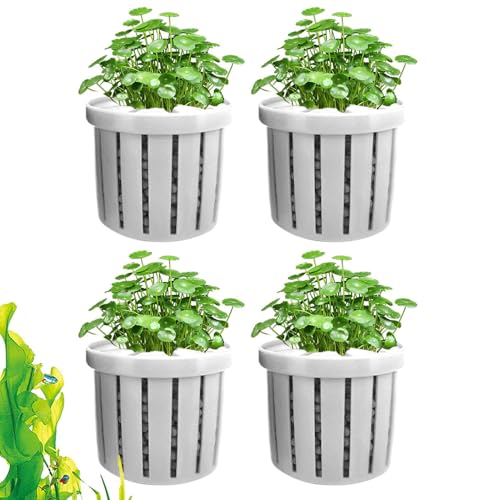 Huvqianu Aquarium Pflanzenhalter, Pflanzenbecher für Aquarien, 4 Stück Hydrokulturhalter für Aquarien, Wasserdéko für Wohnung Hotel Restaurant Geschäfte Huvqianu Aquarium Pflanzenhalter, Pflanzenbecher für Aquarien, 4 Stück Hydrokulturhalter für Aquarien, Wasserdéko für Wohnung Hotel Restaurant Geschäfte von Huvqianu