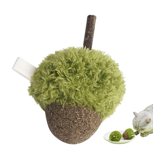 Huvqianu Catnip Toys, Green Acorn Catnip Toy, Fun Chewing Cat Ball, Cute Plush Fruit Plaything, Interactive Kitten Bite Toys, Soft Pet Playthings for Indoor and Outdoor Huvqianu Catnip Toys, Green Acorn Catnip Toy, Fun Chewing Cat Ball, Cute Plush Fruit Plaything, Interactive Kitten Bite Toys, Soft Pet Playthings for Indoor and Outdoor von Huvqianu