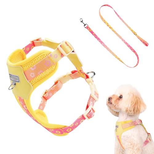 Huvqianu Leichtes Hundegeschirr - Welpen Geschirr | Ausbruchssicher Atmungsaktiv Verstellbar Für Große Rassen Tägliche Spaziergänge Outdoor Sport Training Park Auto Reisen von Huvqianu
