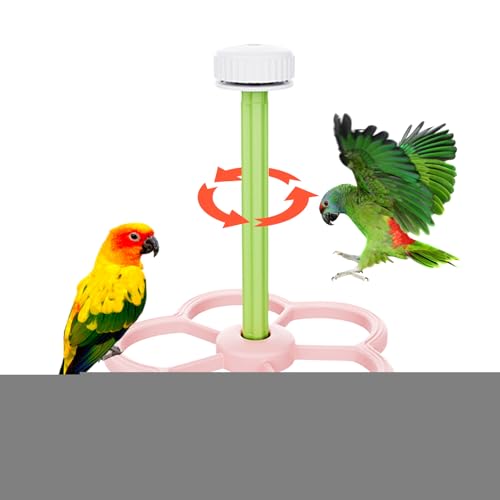 Huvqianu Vogel-Sitzstangen für Käfig, Intelligenz-Windmühlen-Spielzeug, Bereicherung, interaktives Vogelspielzeug für Sittiche, Sittiche, Wellensittiche, Nymphensittiche, Aras, Finken, Fenster Huvqianu Vogel-Sitzstangen für Käfig, Intelligenz-Windmühlen-Spielzeug, Bereicherung, interaktives Vogelspielzeug für Sittiche, Sittiche, Wellensittiche, Nymphensittiche, Aras, Finken, Fenster von Huvqianu