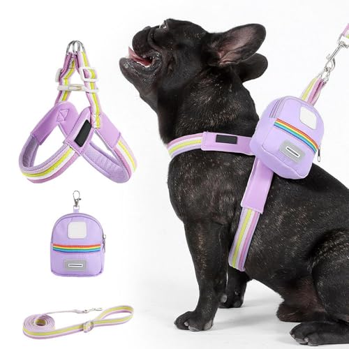 Huxibai Hundegeschirr mit Geschirr – verstellbares Geschirr für Hunde und – Aufbewahrungstasche inklusive ergonomischer Anpassung für Training und Wandern und und Park und Camping für von Huxibai