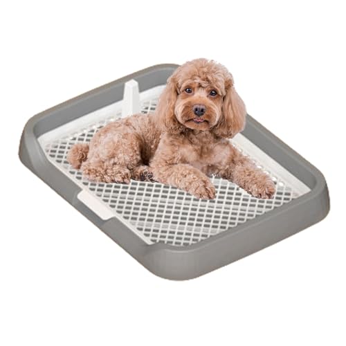 Hundetoilette für den Innenbereich, Pipi Matte für Hunde, Töpfchentablett mit Netzgittern, Hundetoilette mit Netzgittern, Haustier-Töpfchen-Zubehör leicht zu reinigen Hundetoilette für den Innenbereich, Pipi Matte für Hunde, Töpfchentablett mit Netzgittern, Hundetoilette mit Netzgittern, Haustier-Töpfchen-Zubehör leicht zu reinigen von Huyeruie