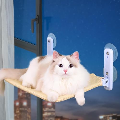 Katzen-Fensterbett – schnurlose, faltbare Katzen-Fensterstange | verbesserte Saugnäpfe für Katzenfensterbank | platzsparendes Fensterbett | Große Katzen Sitzstangen mit bis zu 12 kg halten | Katzen-Fensterbett – schnurlose, faltbare Katzen-Fensterstange | verbesserte Saugnäpfe für Katzenfensterbank | platzsparendes Fensterbett | Große Katzen Sitzstangen mit bis zu 12 kg halten | von Huyeruie
