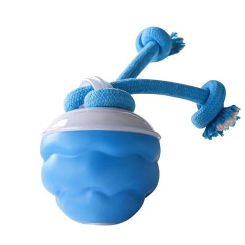 Hxhsgmeh Berührungsaktivierte Spielzeuge Quietschende Rollende Bälle Smartes Interaktives Spielzeug Hxhsgmeh Berührungsaktivierte Spielzeuge Quietschende Rollende Bälle Smartes Interaktives Spielzeug von Hxhsgmeh