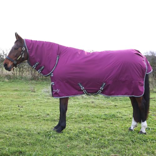 HY EQUESTRIAN StormX Empra 200 Combi Pferdedecke, Violett, 1,52 m HY EQUESTRIAN StormX Empra 200 Combi Pferdedecke, Violett, 1,52 m von Hy Equestrian
