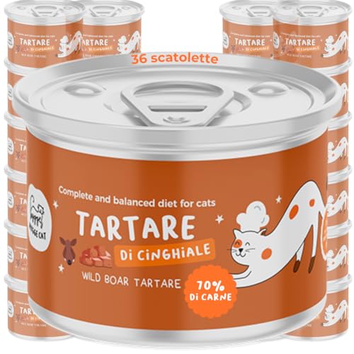 Wildschwein-Tartar | komplettes Nassfutter für erwachsene Katzen | Grain Free Rezept mit hochwertigem Fleisch und Lachsöl | hohe Anfälligkeit reich an Omega 3 und 6 | 36 x 85 g | Made in Italy | Hygge Wildschwein-Tartar | komplettes Nassfutter für erwachsene Katzen | Grain Free Rezept mit hochwertigem Fleisch und Lachsöl | hohe Anfälligkeit reich an Omega 3 und 6 | 36 x 85 g | Made in Italy | Hygge von Hygge