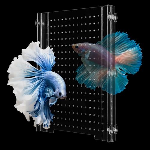 Hygger CO2 Verstellbares Acryl-Aquarium-Trenner-Set – Universal-Trenner für Mehrzweck-Fischisolierung (2 Größen optional (24,9 x 27,9 cm) von Hygger CO2