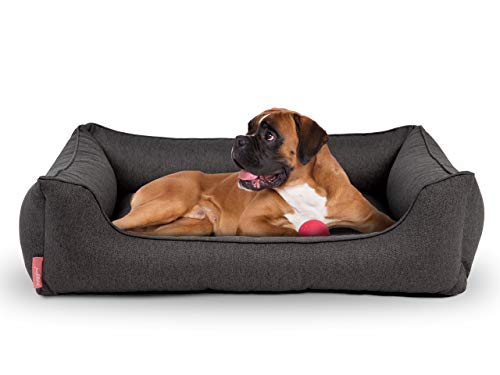 Hyggins Dreamer Plus Hundebett | Orthopädisch, Bezug abnehmbar und waschbar | Boden wasserabweisend (L 100 x 70cm, Dunkelgrau) von Hyggins