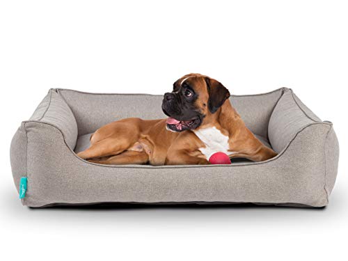 Hyggins Dreamer Plus Hundebett | Orthopädisch, Bezug abnehmbar und waschbar | Boden wasserabweisend (S 60 x 44cm, Graubeige) von Hyggins