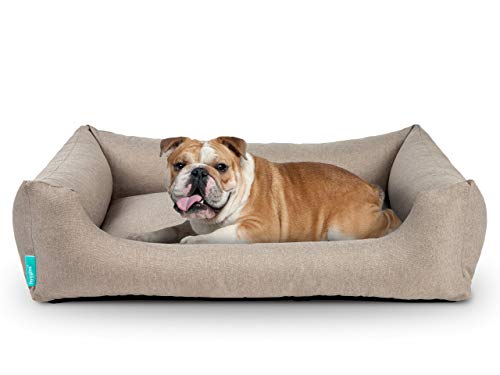 Hyggins Dreamer Pure Hundebett | Bezug abnehmbar und waschbar | Robust und pflegeleicht (L 100 x 70cm, Beigegrau) von Hyggins