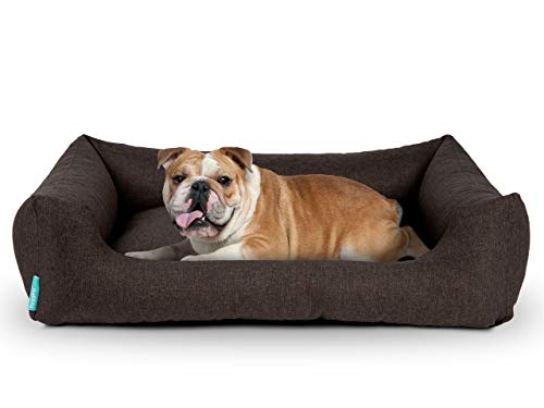 Hyggins Dreamer Pure Hundebett | Bezug abnehmbar und waschbar | Robust und pflegeleicht (L 100 x 70cm, Braun-Anthrazit) von Hyggins